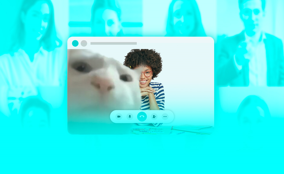 Kat komt in beeld tijdens videogesprek, een nadeel van hybride werken. 